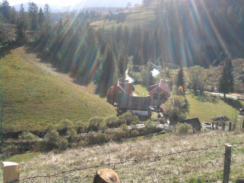 Pensiunea Sofy Arieseni Exterior photo